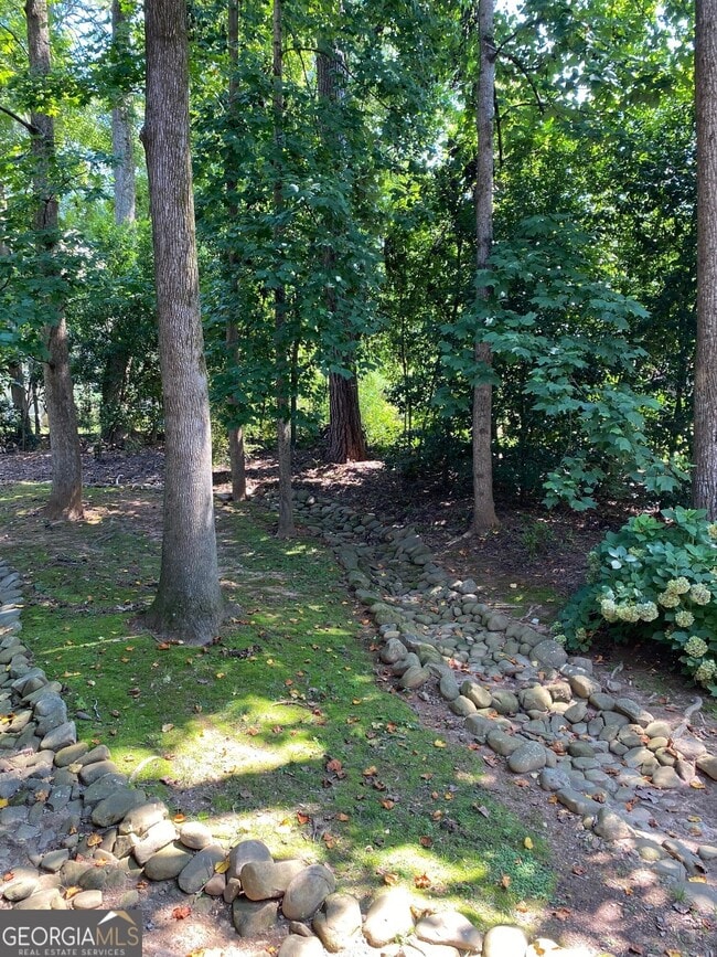 Building Photo - 459 Atlanta Country Club Dr