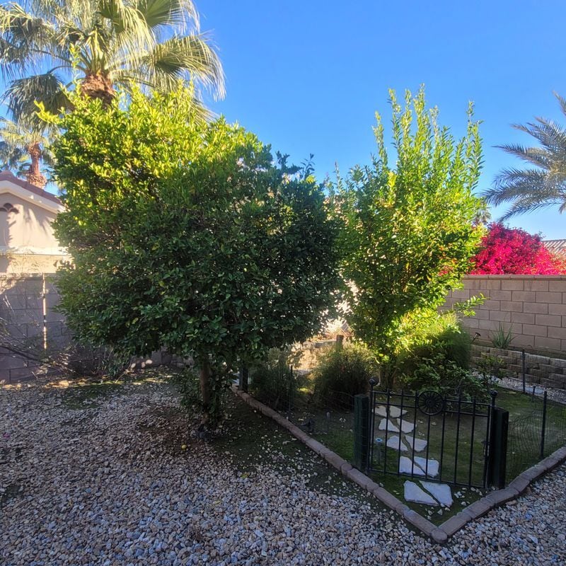 Building Photo - 78702 Platinum Dr