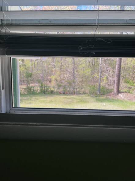 Building Photo - 8410 Richville Dr