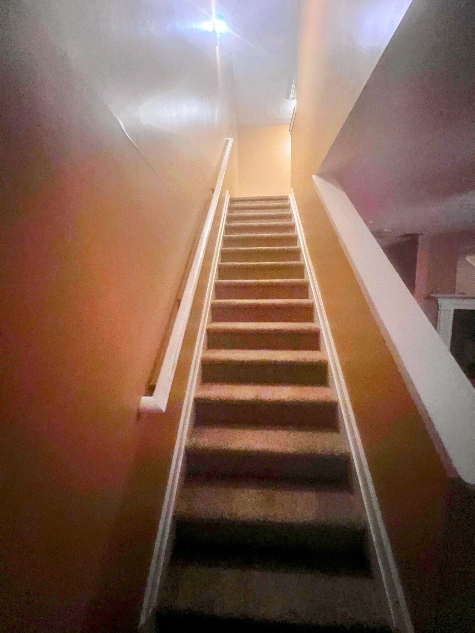 Building Photo - 2970 Vining Ridge Ln