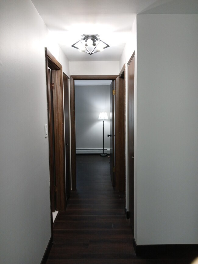 Hallway leading to back entry closet, linen closet, bathroom and bedrooms - 15820 Orlan Brook Dr