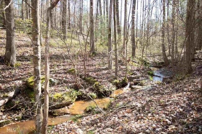 Building Photo - 168 Hamlin Rd