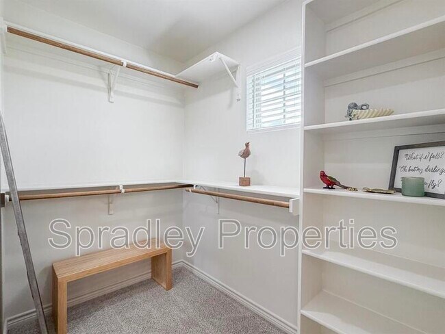 Building Photo - 1404 Rita Blanca Ct