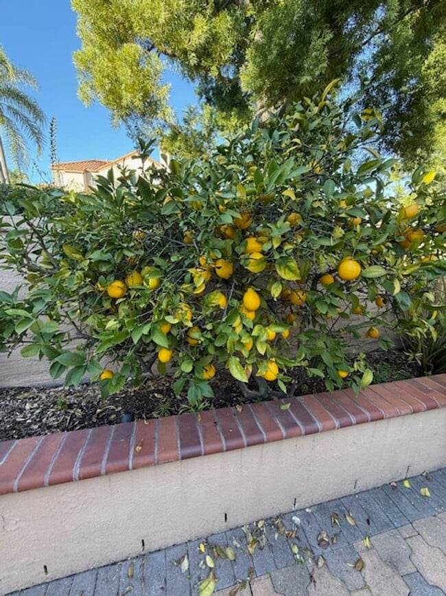 Building Photo - 2 Bedroom Condo in Aliso Viejo!