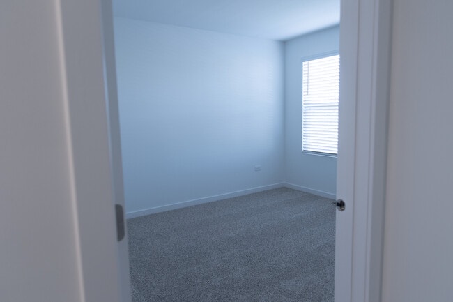 Building Photo - 2444 Scribe St