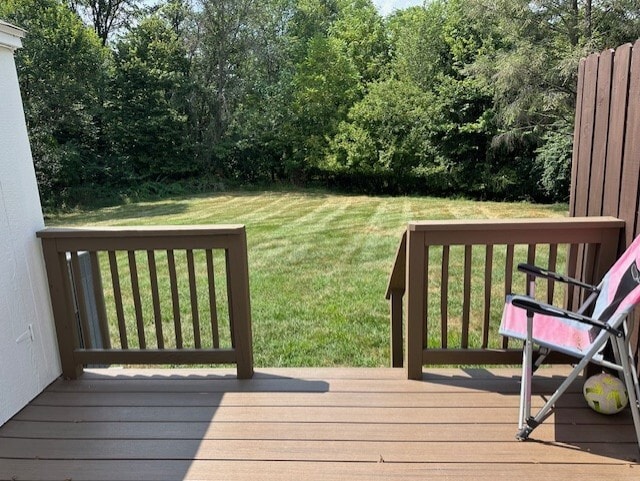 Back Yard - 1143 Nanroc Dr