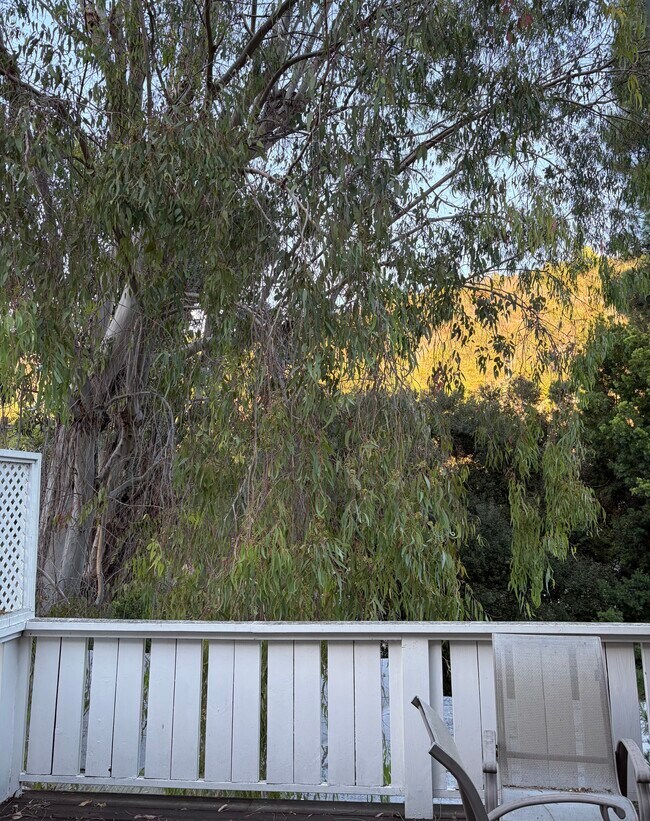 Building Photo - 1552 Crater Ln