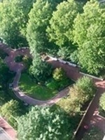 Building Photo - 2 Hawthorne Pl