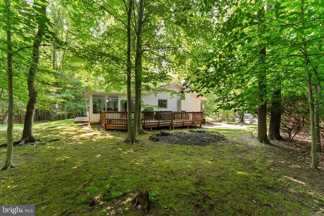 Building Photo - 8207 Lilly Stone Dr