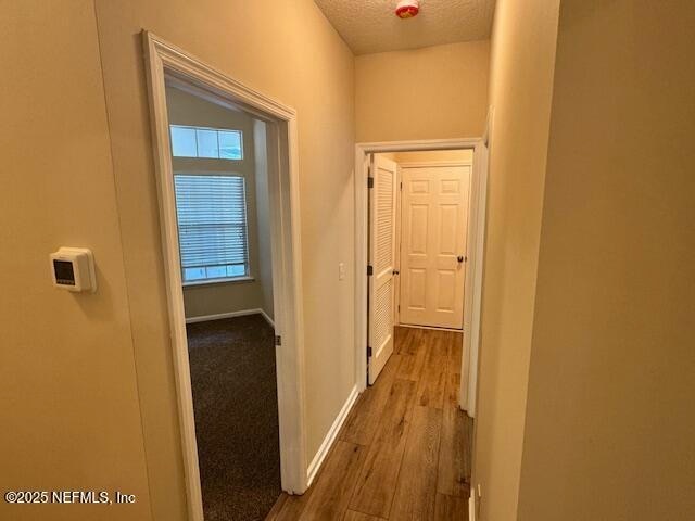Building Photo - 14758 Fern Hammock Dr