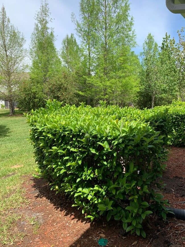 Building Photo - Luxury Townhome for Rent in Gated Dunwoody...