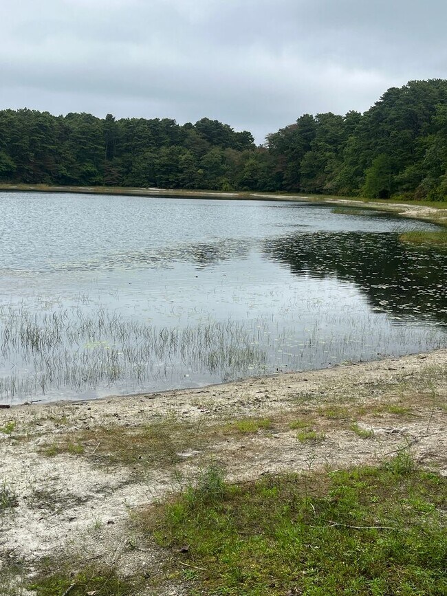 Building Photo - Fully updated 2Bd / 2Br Bassett Pond Condo...