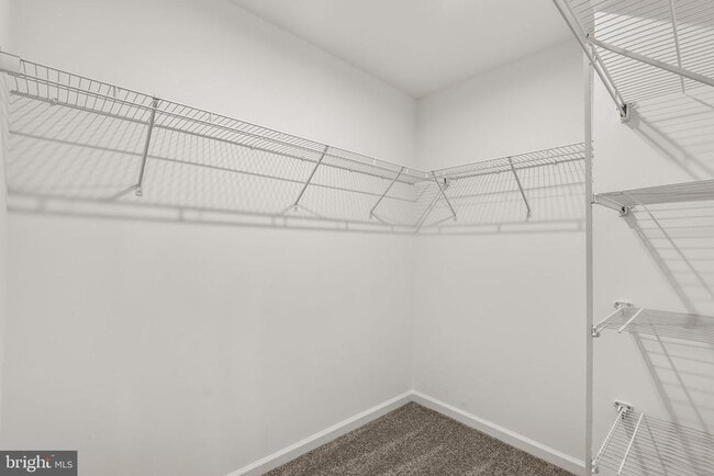 Building Photo - 8256 Longford Rd