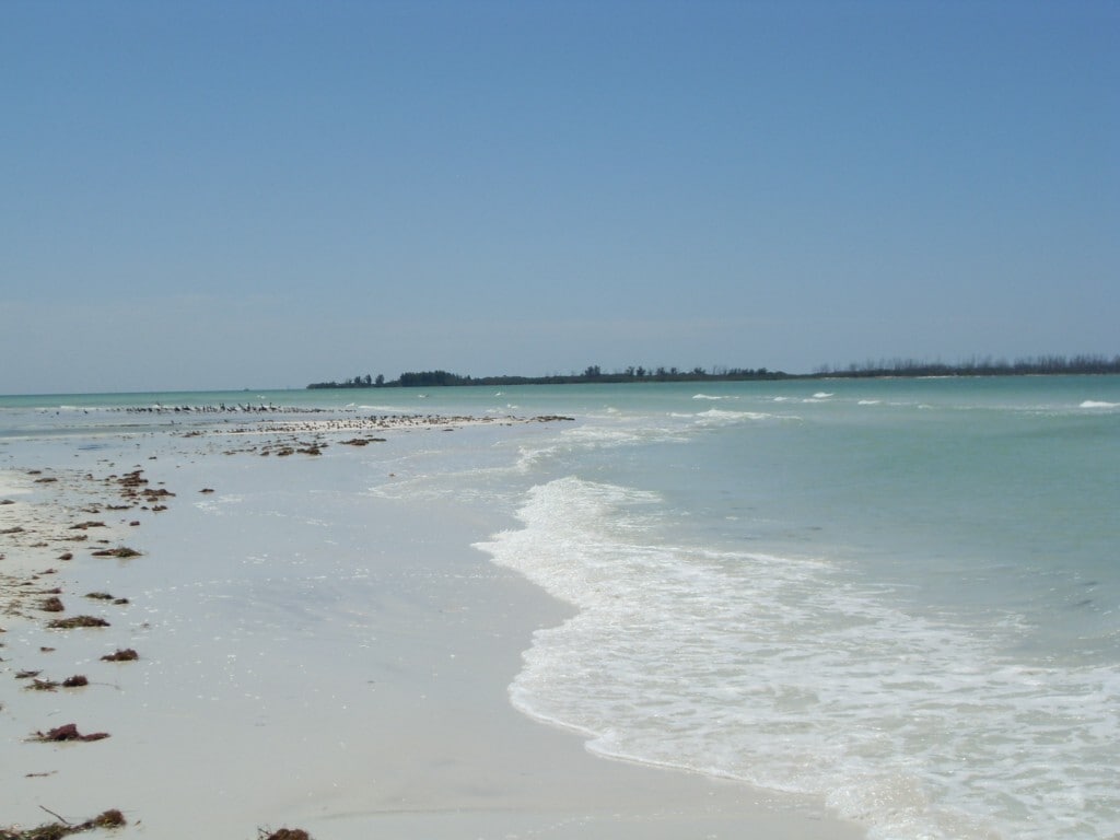 Building Photo - 4951 Elkner St