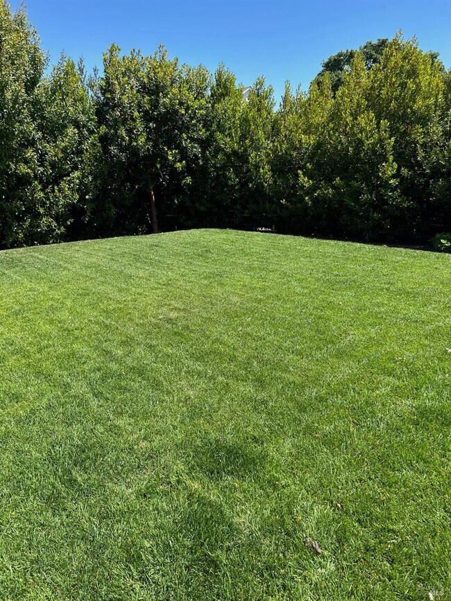 Building Photo - 230 Newcomb St