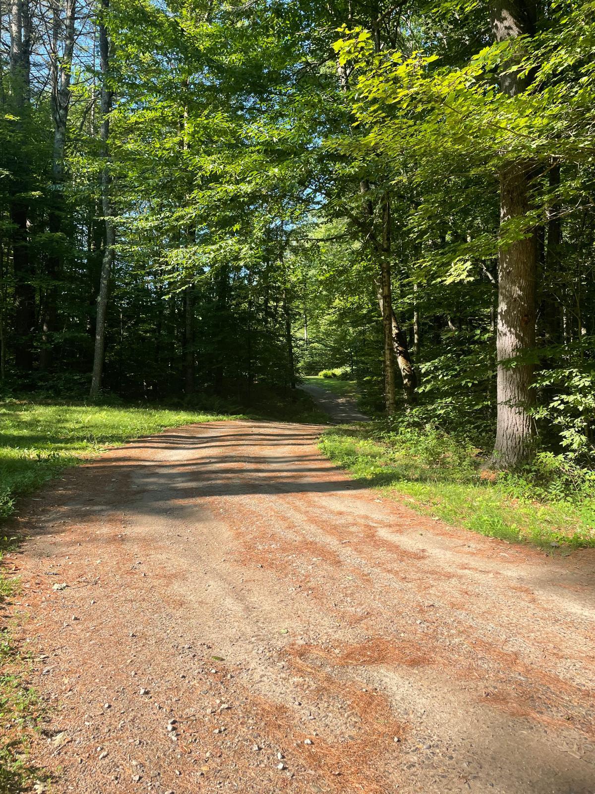 Your driveway - 39 Old County Rd