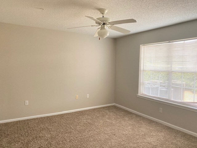 Building Photo - 4100 Dancing Cloud Ct