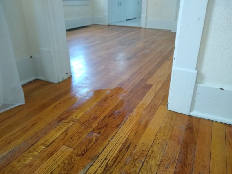 Building Photo - 3196 Ames St