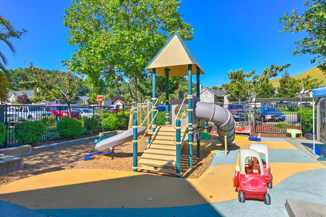 Building Photo - Bay Vista at Meadow Park