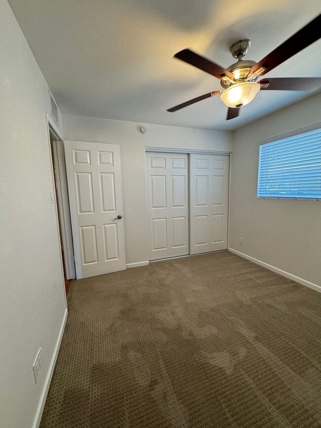 Building Photo - Single Story 4 bedroom Scottsdale Home
