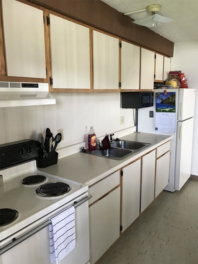 Building Photo - 2451 Ben Dougan Ln