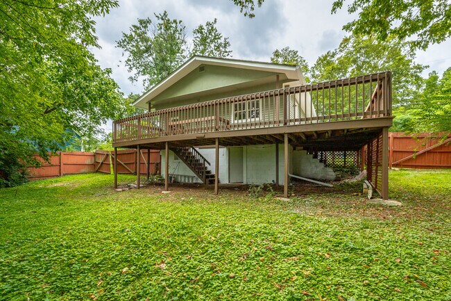 Backyard - 219 Vreeland St