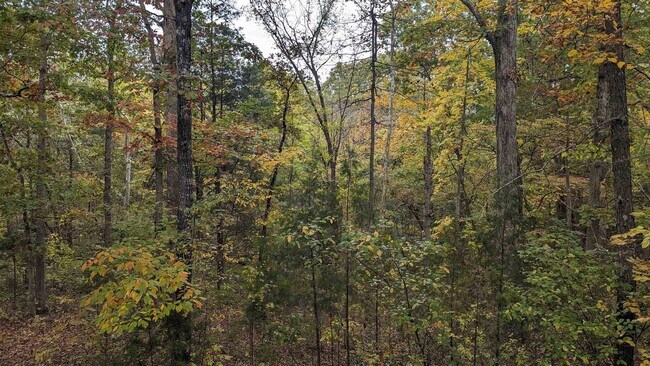 Building Photo - 16 Akokisa Dr