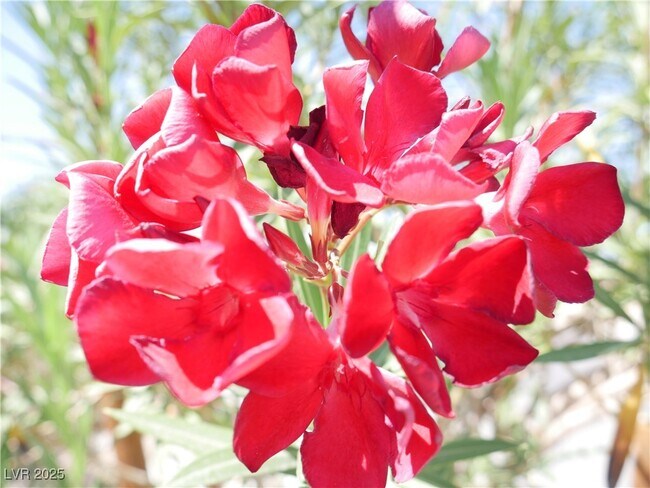 Primary Photo - 6051 W Dewey Dr