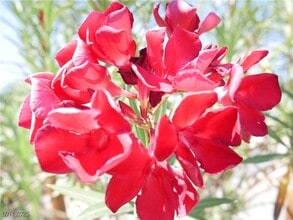 Building Photo - 6051 W Dewey Dr