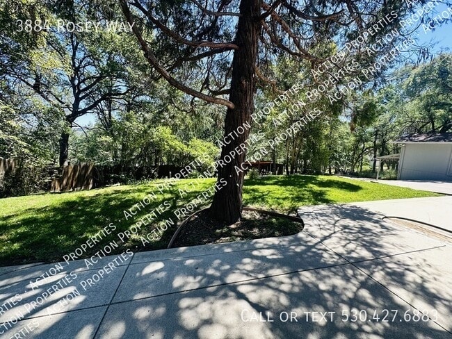 Building Photo - 3884 Rosey Way