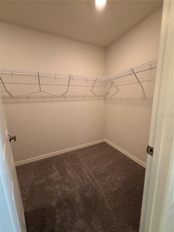 Building Photo - 827 Cypress Creek Run