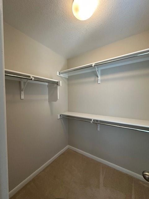 Building Photo - 2505 Charolais Ct