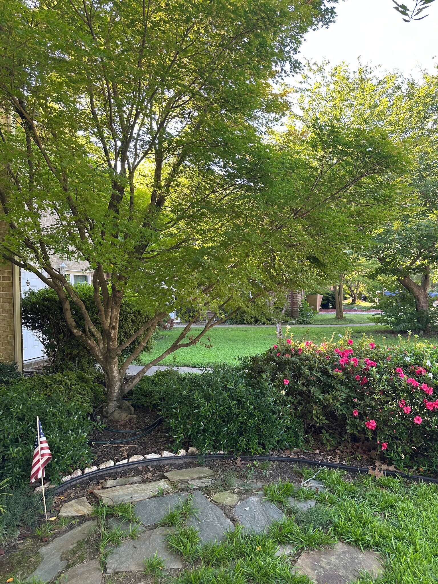 Front Mature Landscaping - 4629 Truman Ln