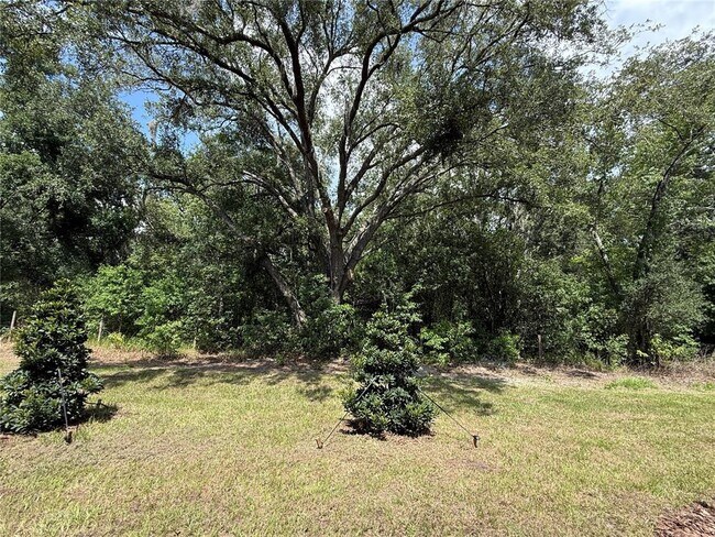 Building Photo - 10232 Trumpet Honeysuckle Wy