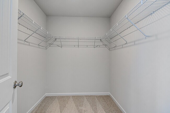 Building Photo - 3155 Misty Ridge Dr