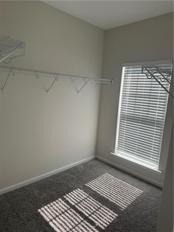 Building Photo - 109 Chalk Farm Wy