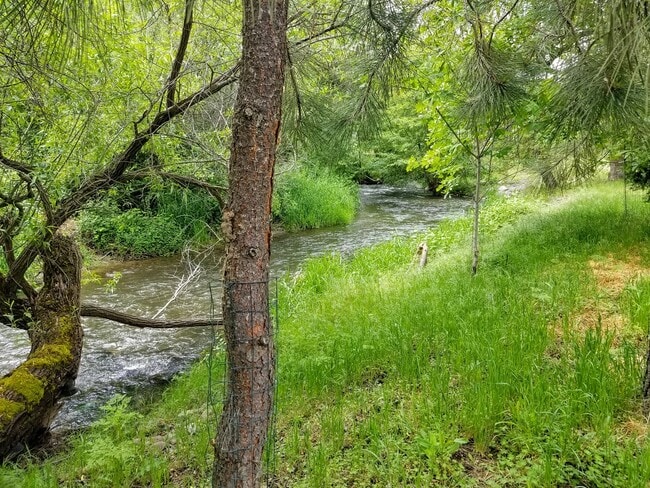 Creek access - 1280 Oak St