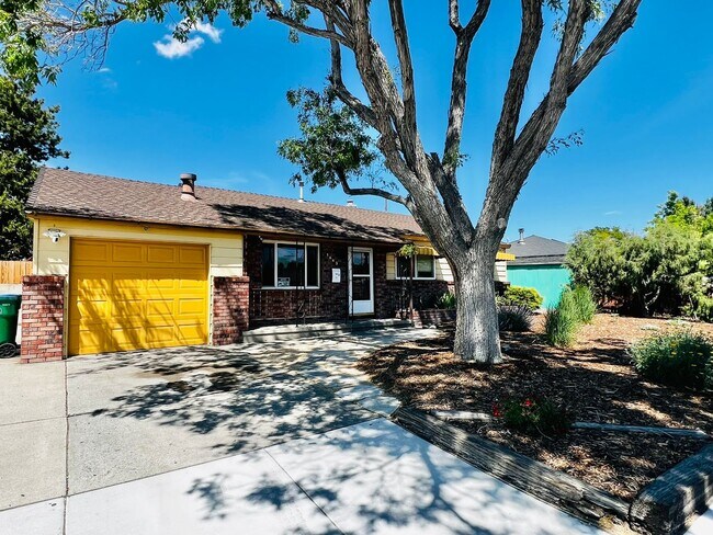 Building Photo - 1643 Stewart St