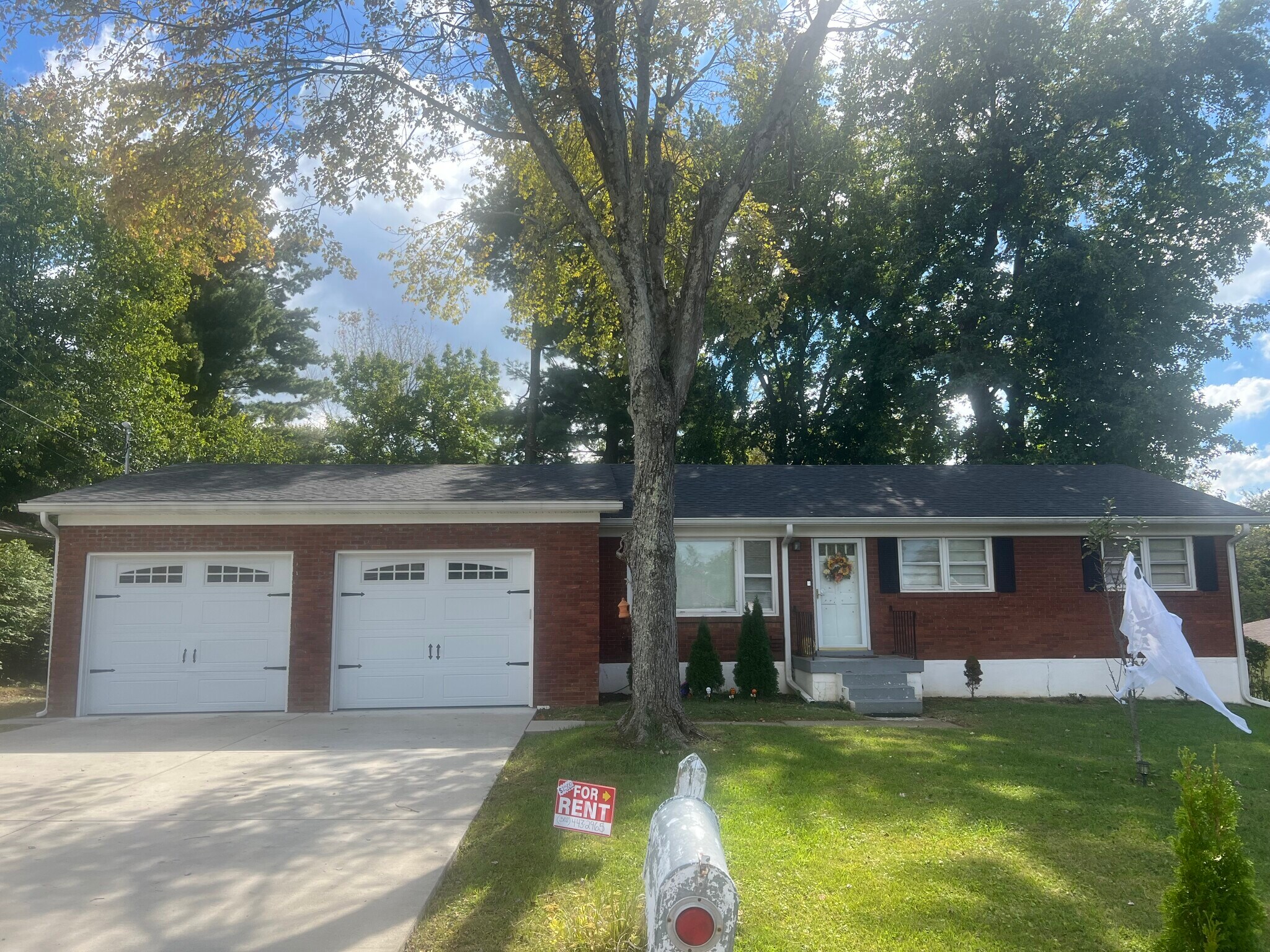 Building Photo - 8608 Garydon Dr