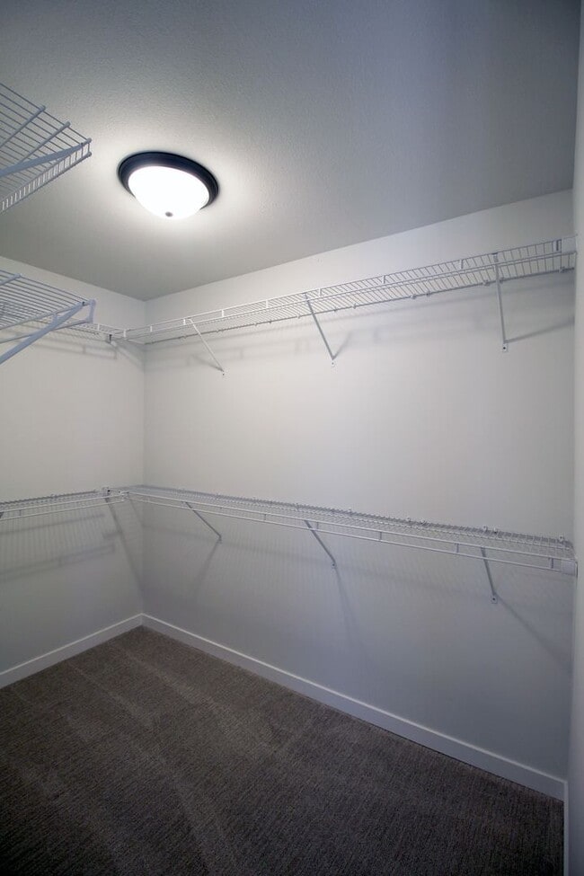 Building Photo - 2324 Lovie Ln