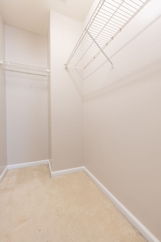 Building Photo - 4022 Holston Ct