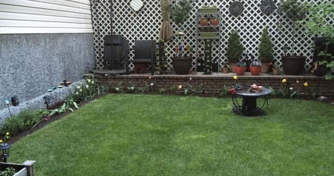 Backyard - 35 Havemeyer St