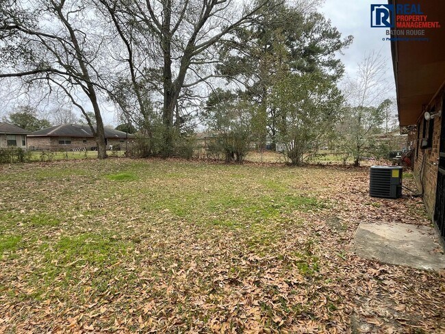 Building Photo - House: Mickens Place