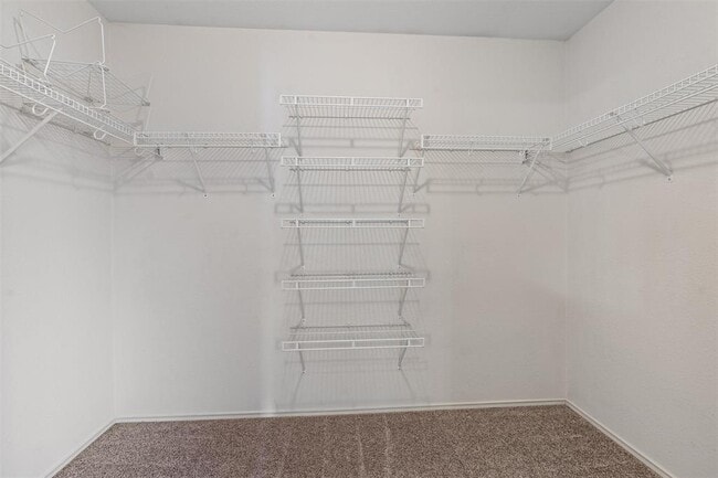 Building Photo - 1305 Caras Cv