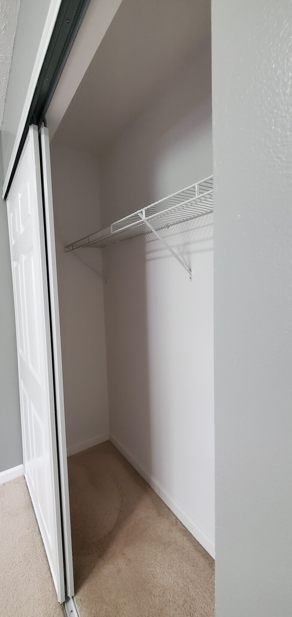 Building Photo - 313 Britanna Dr