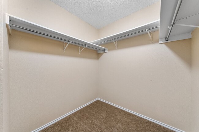 Building Photo - 7038 Cole Creek Dr