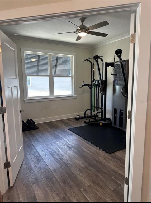 Building Photo - 1249 Savona Dr