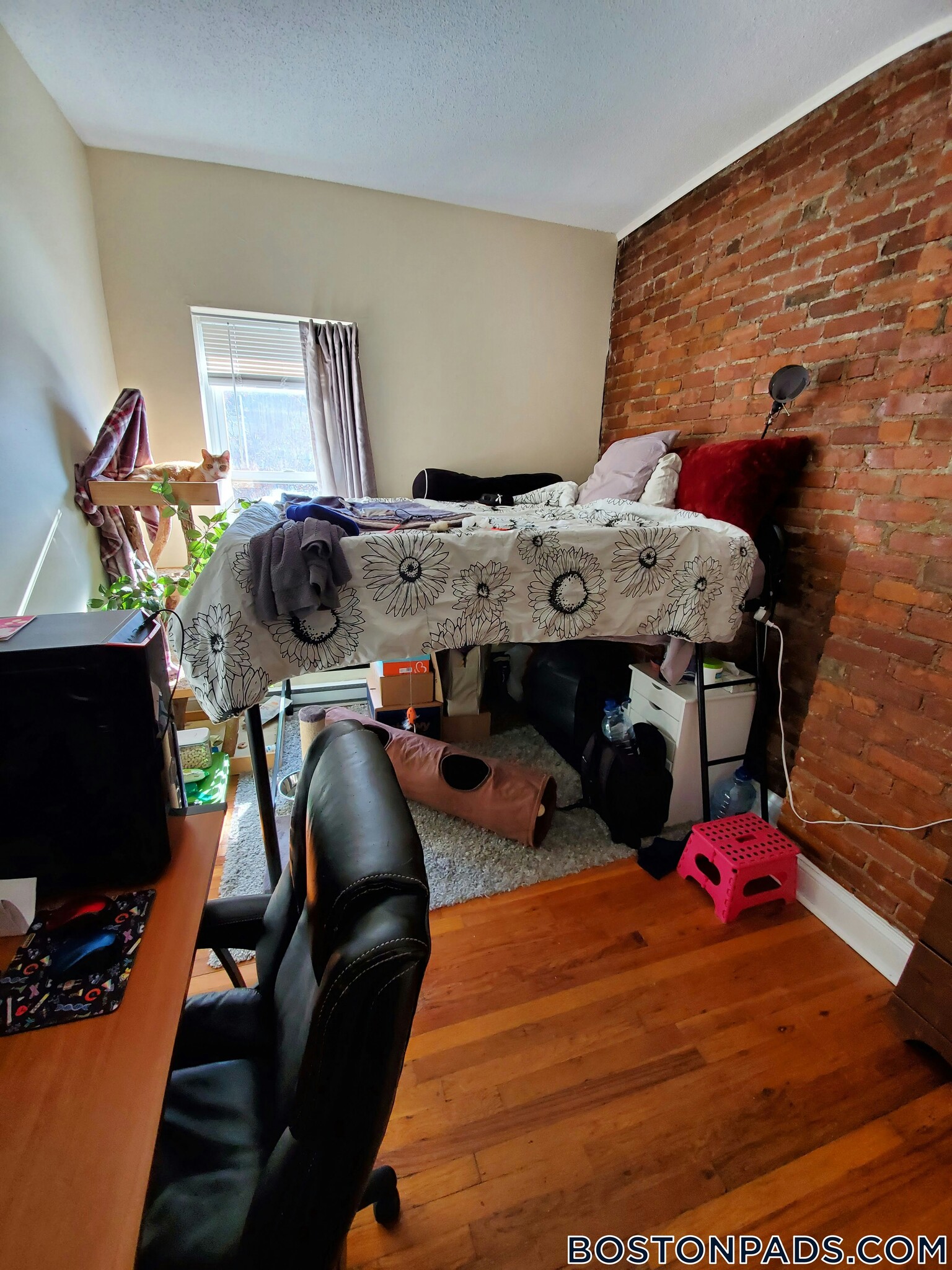 Building Photo - 888 Huntington Ave