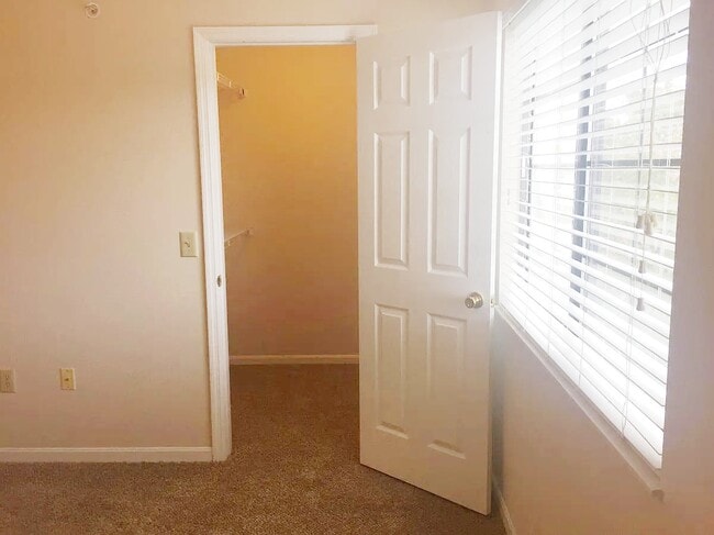 Building Photo - 2317 Vicente Ct