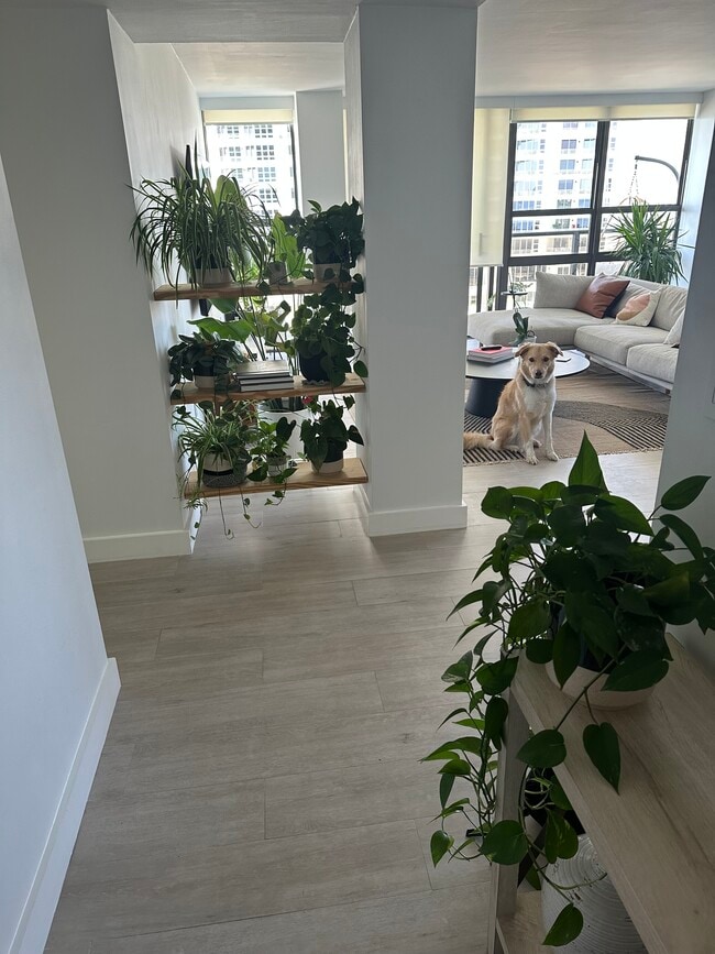 Entry view - 600 NE 36th St
